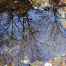 양평-용문-용문-4 이미지