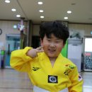 신흥 태권도 이미지