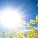 썬-바이오 이미지