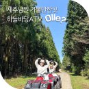 남원농장 | 제주 남원 가볼만한곳 제주도 이색체험 서귀포 놀거리