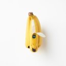 디자인바나나 이미지