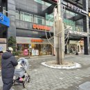던킨도너츠 부천역 | 경기 부천 던킨도너츠 신중동 도너츠맛집 커피랑 딸기쥬스 맛있다는~♡