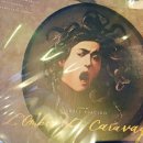 미드나잇코티지 | 2025년 상반기 영화관 관람