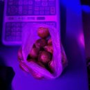 판타스틱 코인노래연습장 중원구청점 이미지