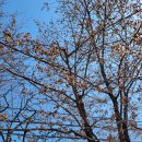 맑은 운동화 이미지