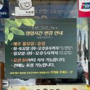 강릉 아침식사 현지인맛집 나운칼국수 솔직후기