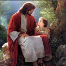 가온노인재가센터 이미지