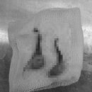 스마일 동물병원 이미지