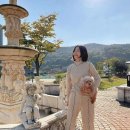 언니네 펫 이미지