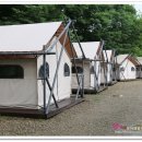 숲들내캠핑장 이미지