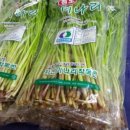 청도미나리