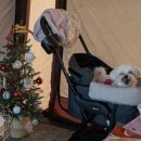 화명오토캠핑장 이미지