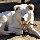 금풍농장 이미지