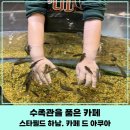 아쿠아카페(AQUA CAFE) | [스타필드 하남 아쿠아 카페]아이와 가기 좋은 물고기 카페, 카페 드 아쿠아 솔직 후기