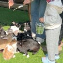 위드목장 이미지