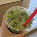 매머드커피 후기 🧃 봄이랑 잘 어울리는 말차라떼!! 🍵