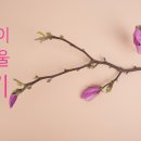 꽃피울