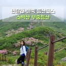 (주)강산에너지 | 단양 소백산 등산코스 연달래 우중산행 후기 희방사코스 (연화봉-비로봉-국망봉) 철쭉축제 정보