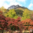 장성