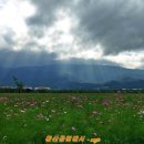 황산공원(황산B) 이미지