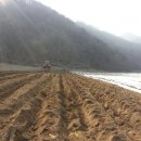 팔봉농원 이미지