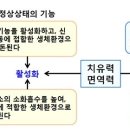 기공(내기공)는 심신의 왜곡을 조정하여 자연 치유력을 높인다 이미지