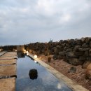 종달차경(메리골드) 이미지