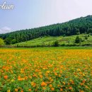 서강목장 이미지