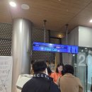 강산스포츠 | 하루만에 가능할까? 당일치기 대마도 여행 도전! (경비 포함)