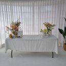 293 | 안양 범계 사진관 오브제293 스튜디오 방문 후기 (백일사진, 가족사진)