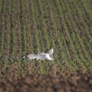 갈매기장터 이미지