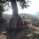 올리브커플펜션 이미지