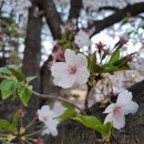 스마트폰 활용(기초에서 활용까지) 이미지