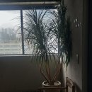 시점 풀빌라펜션(해운대) | [시점 풀빌라 펜션 해운대] 오션뷰와 자쿠지가 어우러진 부산 숙소 다녀왔어요 !