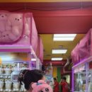 토끼게임장 이미지