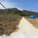 박용희농장 이미지