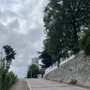 강릉제일고등학교 | [전시/강릉시립미술관] 도도새 작가 김선우 - 춤, 흐르는 물결, 일렁이는 마음, 꿈꾸는 표류 (무료전시)