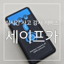 교통카서비스 | 급발진 사고감지를 할 수 있는 스마트한 교통사고 자동신고 ! 실시간 사고감지 서비스 세이프카 후기