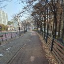 공유 전기 자전거 완벽 이용 가이드 🚲✨ㅣ쏘카 일레클