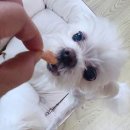 멍댕공방
