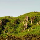 한라산천연보호구역 이미지