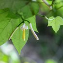 고대산자연휴양림 이미지