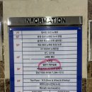 [창원 상남동 미용실] 거지존 정리 성공한 머리 맛집, 엘엔지헤어살롱 지영 점장님 찐후기