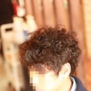 파마잘헤어 이미지