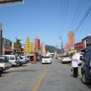 수림조경 Daum카페