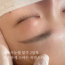 고결컨설팅
