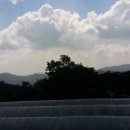 힘찬농장 이미지