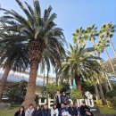 막내카써비스 | 워크샵 세미나 이동 고민 해결! 제주 쏠라티 미니버스 대절(기사포함) 후기 및 비용