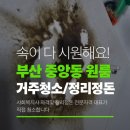 친환경 우리집 정리수납(자격증) | 부산 중앙동 원룸 거주청소 + 정리정돈 후기 | "속이 시원하다"는 한 마디, "한 달에 한 번 받고 싶다...