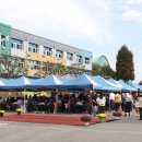 원삼초등학교 이미지